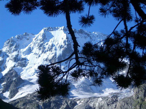 Марианна Крохмаль