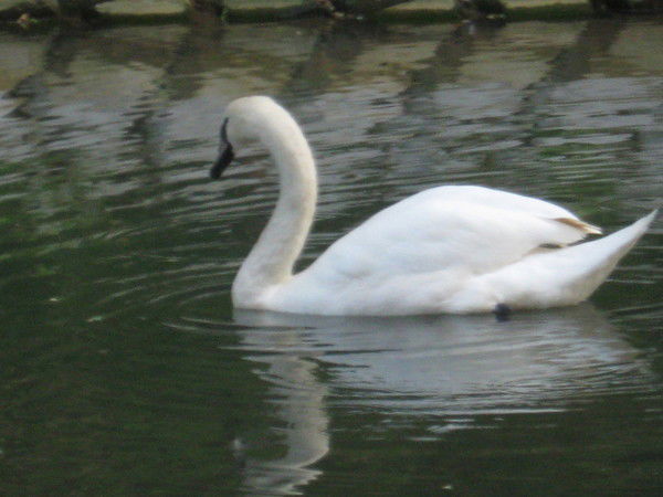 Сергей Усенко