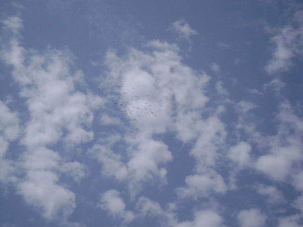 Сергей Лазукин