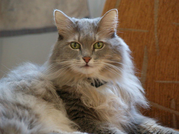 Любовь Маркова