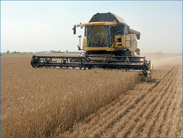 Гу Рмцфдип Костанайский Оф