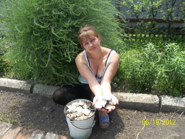 Алиса Дубина