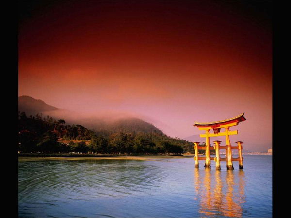 Надежда Старцева