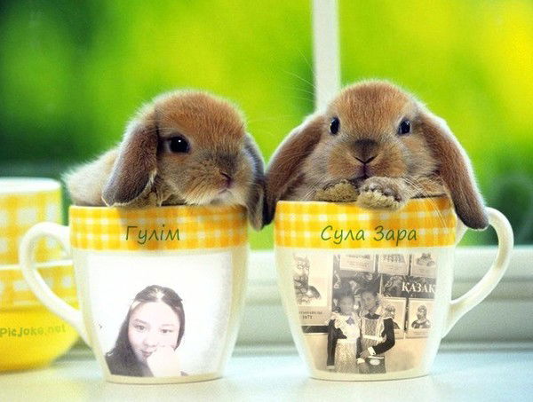 Гулжаз Еркинбек