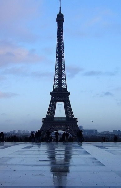 Наталья Стельмашевская