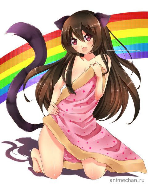 Нян Кэт =^_^= :3