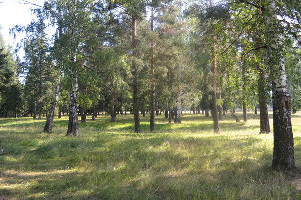 Елена Садовникова