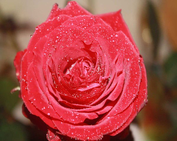 Мальвина Андреева