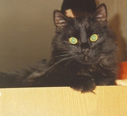 Жанна Калинаускас