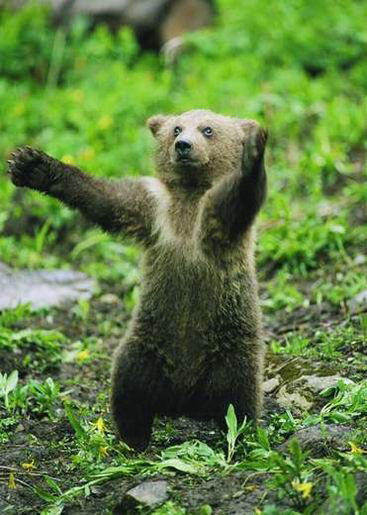 Нафис Мавлявиев