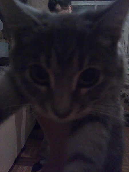 Дима Колпакчи