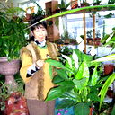 Вина Тен