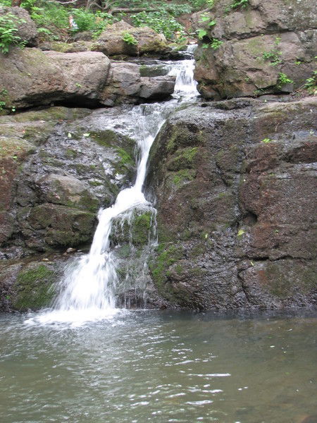 Юлия Новикова