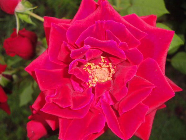 Алевтина Анатольевна