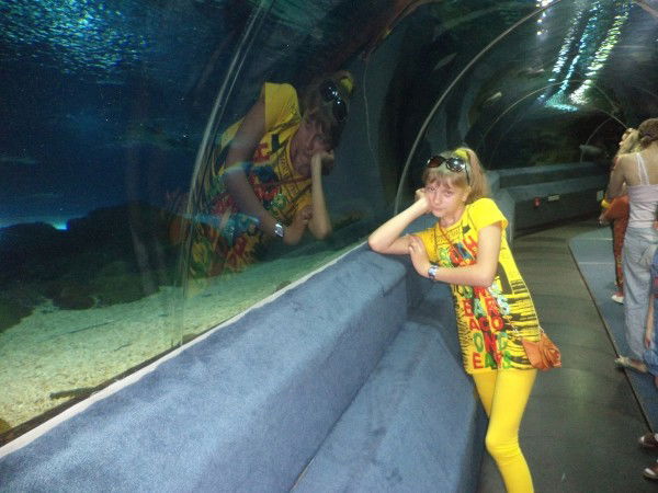 С_Лезвием_ В_Сердце*)