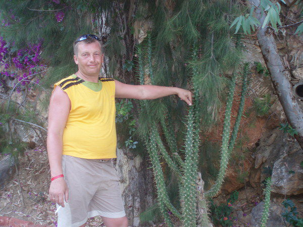 Анатолий Большаков