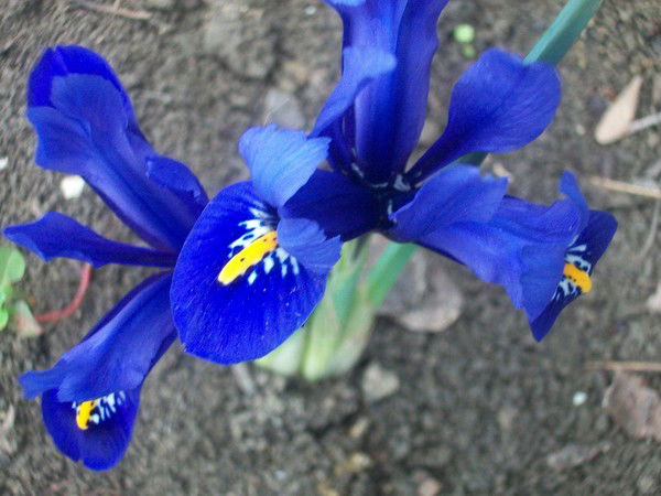 Натаха. Кмв