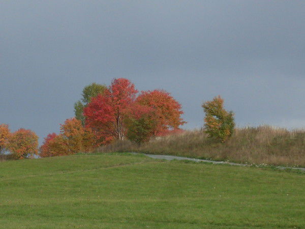 Александр Воевода