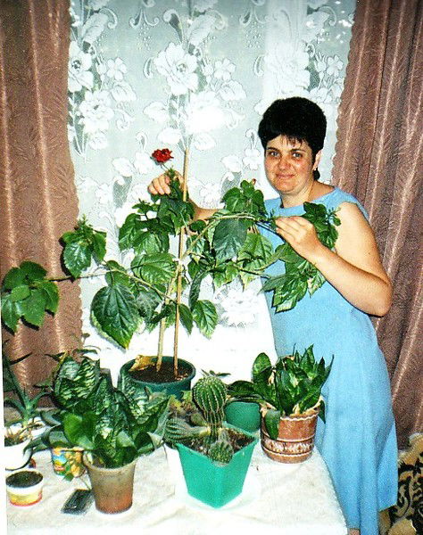 Людмила Янова (Гержик)