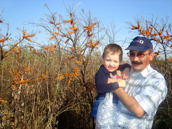 Андрей Дождев