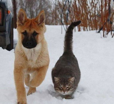 Оля Богатырева