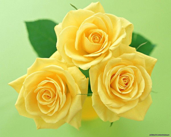 Гульзаида Мустафина