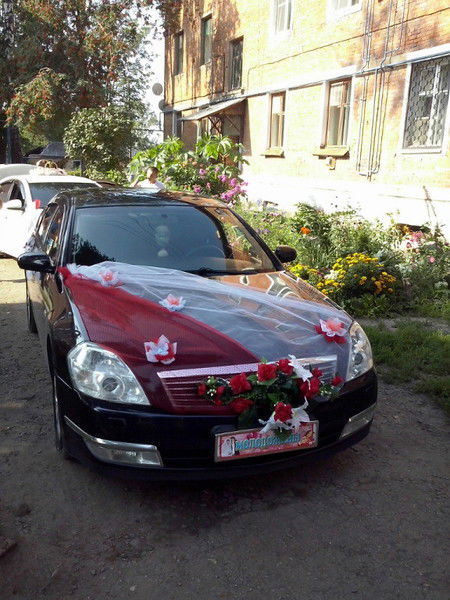 Евгений Котов