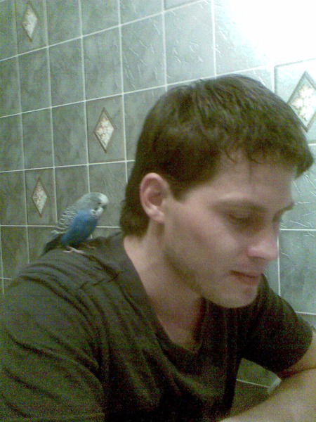 Александр Жирнов