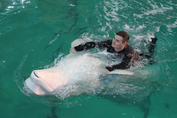 Сергей Иванович