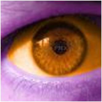 Владимир Зятнев