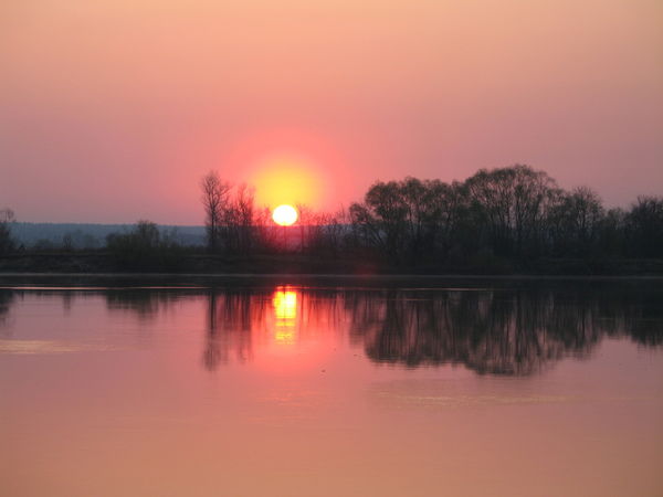 Роман Гуляев