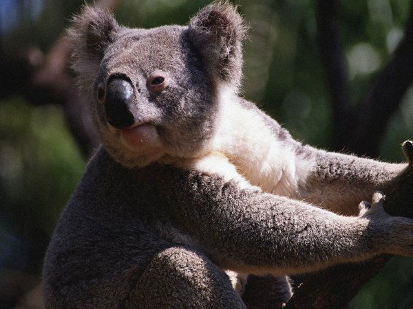 Виталик Обухов