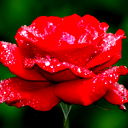 Людмила Юсупова