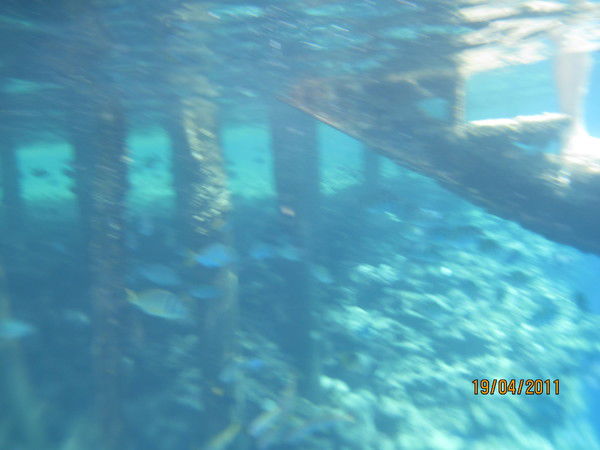 Тихонов Денис