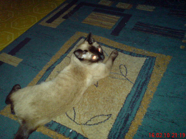 Вадим Сгибнев