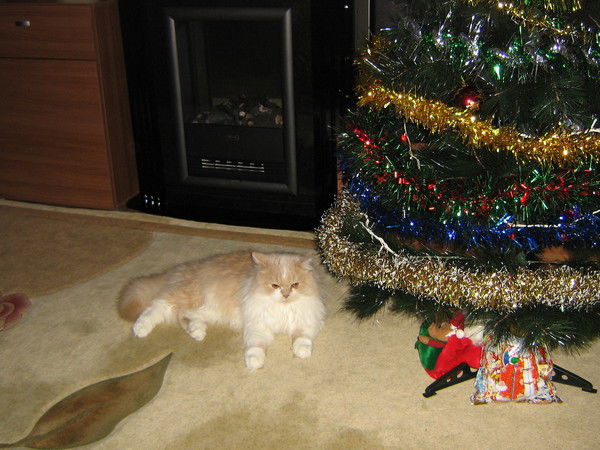 Ирина Дроздова