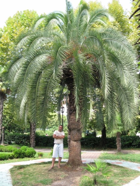 Андрей Михайленко