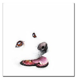 Анатолий Дергачев