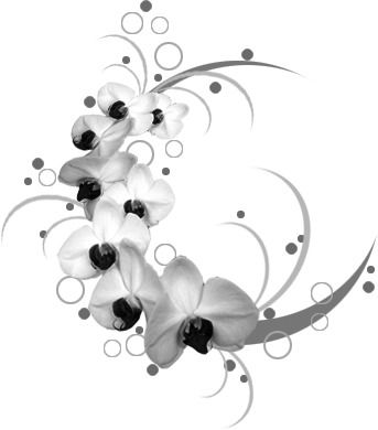 Снежана Соловьёва