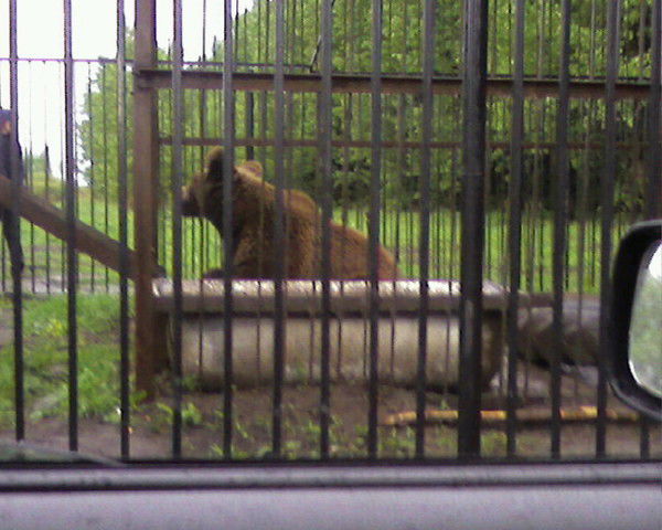 Владислав Немцов