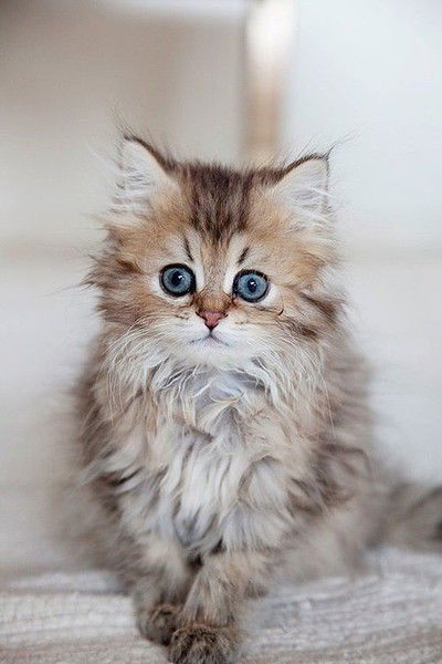 Алия Куниязова