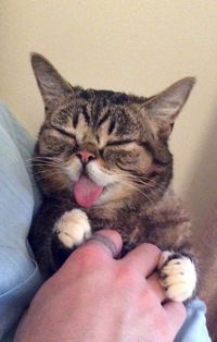 Станислав Венников