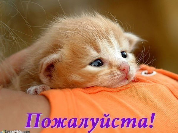 Наталья Наталья