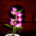 Андрей Новалихин