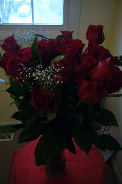 Светлана Плеханова