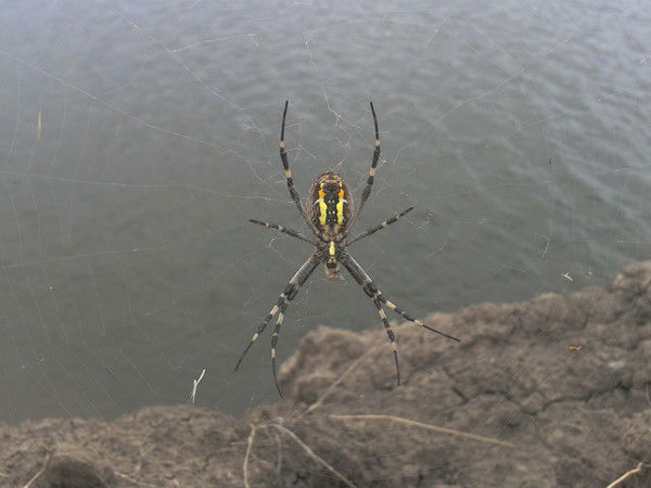 Алексей Титов