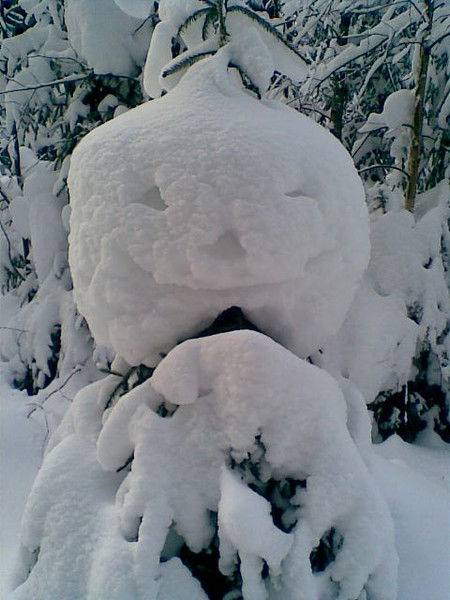 Ирина Полетаева