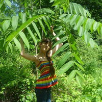 Снежана Галимова