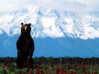 Тимур Дячук