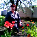 Галина Берлизова